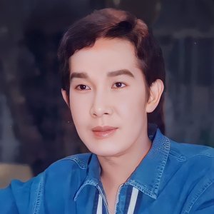 Vũ Linh 的头像