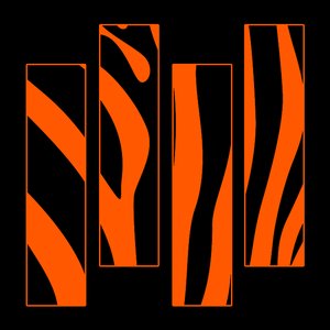 Avatar for Orange Zebra