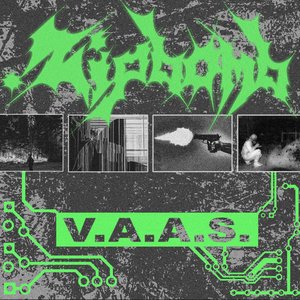 V.A.A.S
