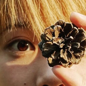 魏诗莹 的头像