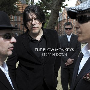 Steppin' Down - Single
