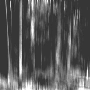 Gyre of Incandescents