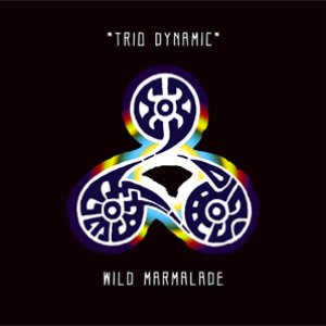 Trio Dynamic
