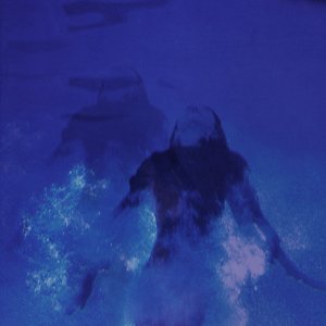 地球上の夜
