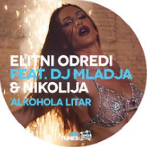 Alkohola litar (feat. DJ Mladja & Nikolija) - Single