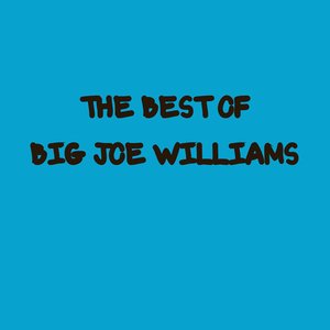 The Best Of Big Joe Williams