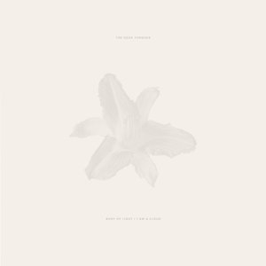 Body of Light [Explicit]