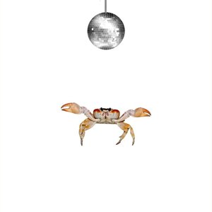 Crabwalk - Single
