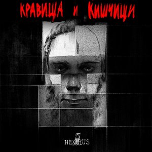Кравища и кишчищи
