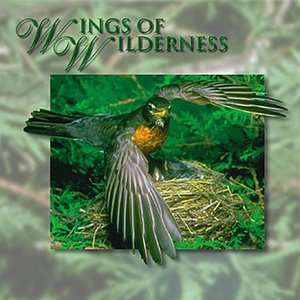 Wings of Wilderness