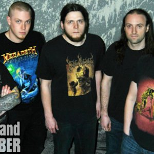 Select and Dismember 的头像