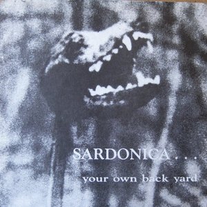 Your Own Back Yard