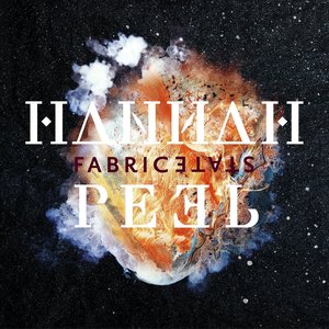 “Fabricstate”的封面