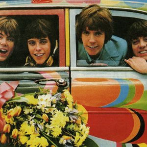 Grapefruit 的头像