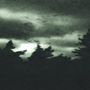 Total Overcast 的头像