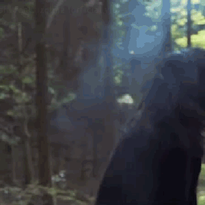 山田ギャル神宮 的头像