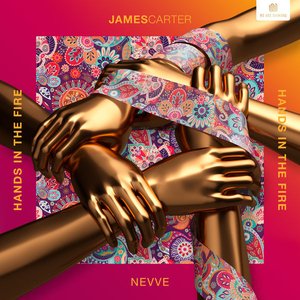 Hands in the Fire - Single