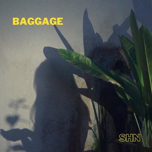 baggage