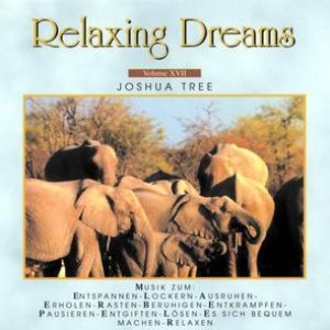 Relaxing Dreams Vol.XVII