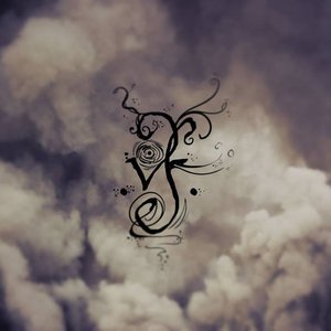 Voidless Form 的头像