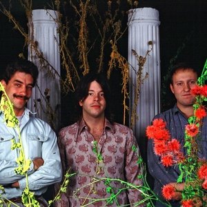 Hüsker Dü のアバター