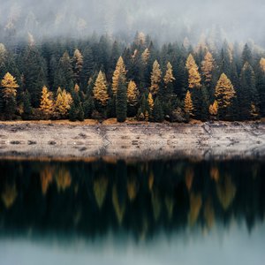 Fog Over The Lake