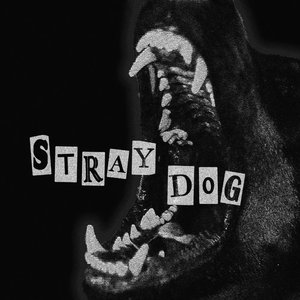 Stray Dog