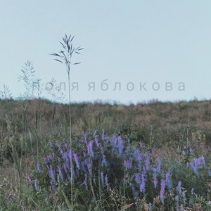 Поля Яблокова için avatar