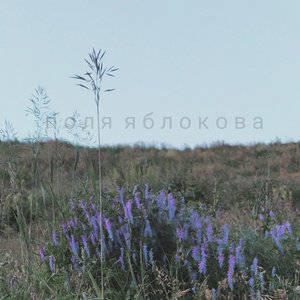 Image for 'Поля Яблокова'