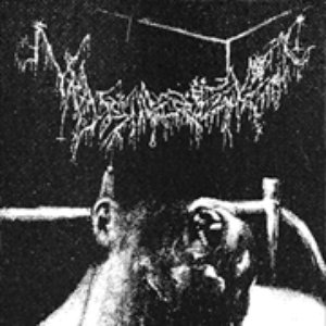Musickorum Tremorae