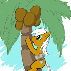 Avatar for Coconeru