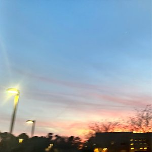 JXSN 的头像