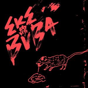 Rat Bite