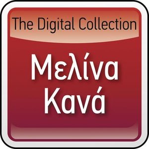 “The Digital Collection”的封面