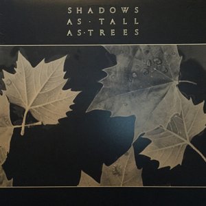 Shadows As Tall As Trees