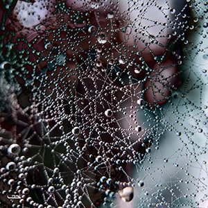 38 Times - Single