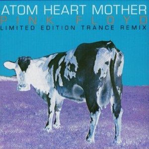 Fuchsia Floyd Trance Remixes 的头像