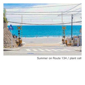 Summer on Route 134