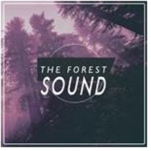 The Forest Sound