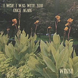 i wish i was with you once again