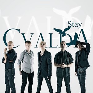 Stay - Single