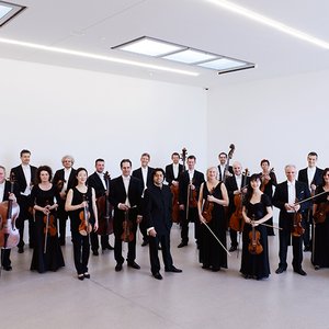 Württemberg Chamber Orchestra Heilbronn 的头像