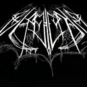 BLACK COMA 的头像