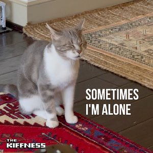 Sometimes I'm Alone - Single