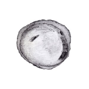 Polaris