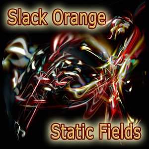 Image for 'Static Fields - Single'