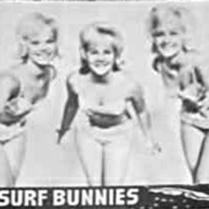 Surf Bunnies 的头像