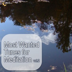 Most Wanted Tunes For Meditation, Vol. 2