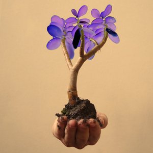 Can't Touch - Single