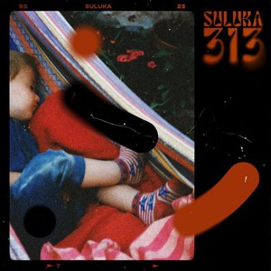 313